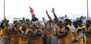 Liga Nacional de Béisbol de Verano inicia este viernes