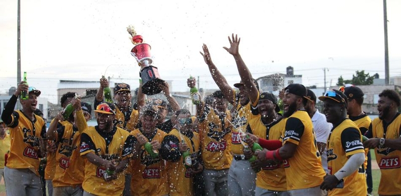 Liga Nacional de Béisbol de Verano inicia este viernes