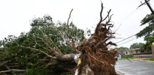 Los Miami Heat donan un millón de dólares para la recuperación de Jamaica, tras efectos de Melissa