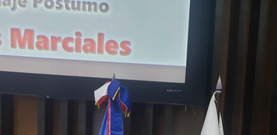 Leidi Germán encabeza, con exaltación dorada, acto del Pabellón de la Fama de Artes Marciales