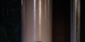 Jimmy Llibre participará en el 2026 en el GT4 America del GT World Challenge