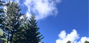 Jarabacoa Golf Club: Golf en la montaña al más alto nivel